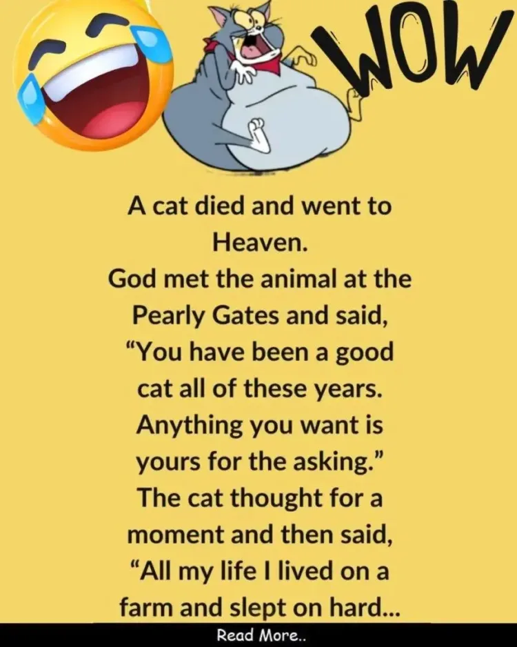 Joke: Jonny Went To School