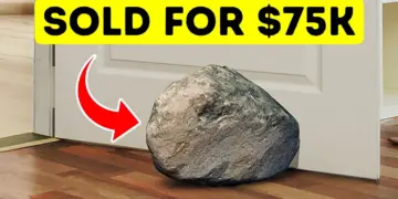 Man Finds a Rock More Valuable Than Gold – video