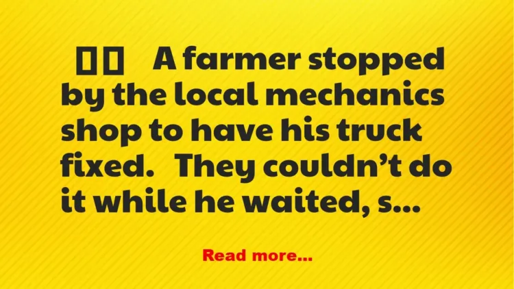 Joke: The Farmer and The Old Lady