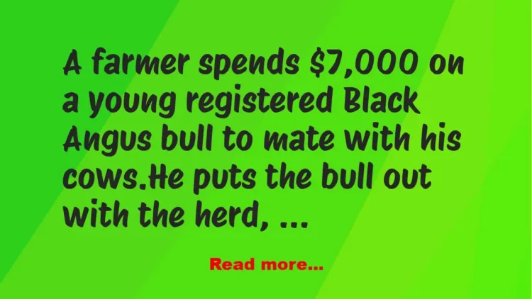 Joke: The farmer calls the vet about his prized bull not wanting to mate -…