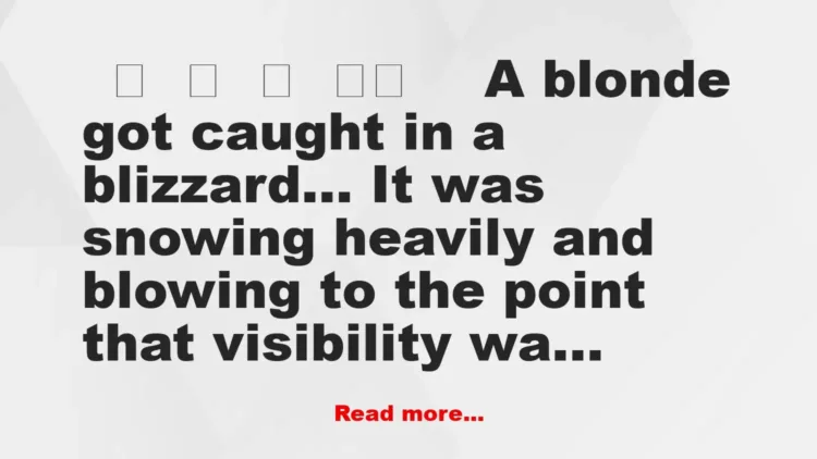 Joke: A Blonde Got Caught In A Blizzard