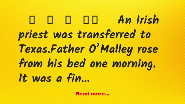 Joke: Irish Priest And Texas Police
