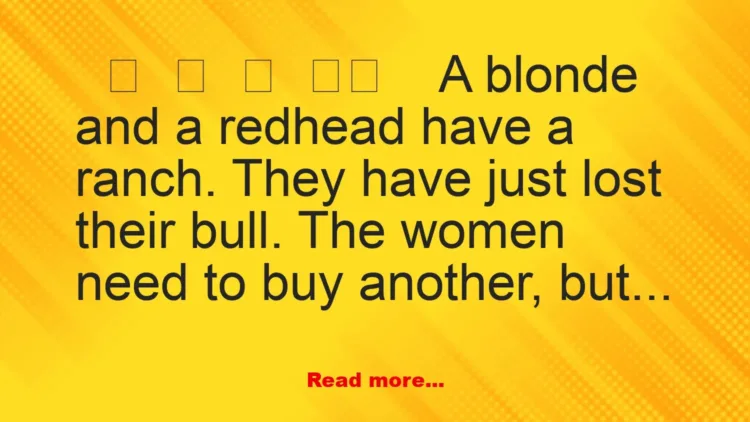 Joke: The Redhead’s Telegram Challenge: Bull or ‘Comfortable’?