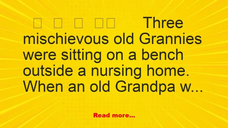 Joke: Three mischievous old Grannies