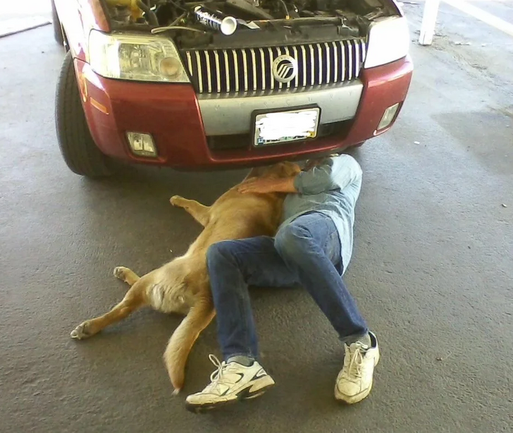 Dog Helping Fix Car