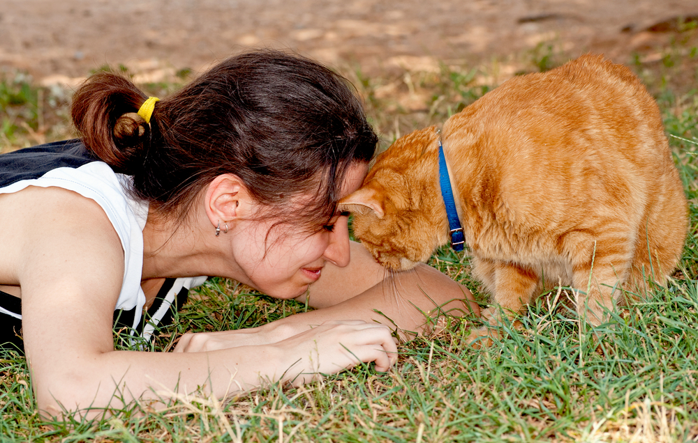 Cats headbutting their owners