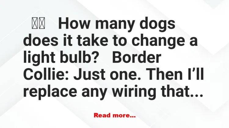 Joke: How Many Dogs Does It Take To Change A Light Bulb?
