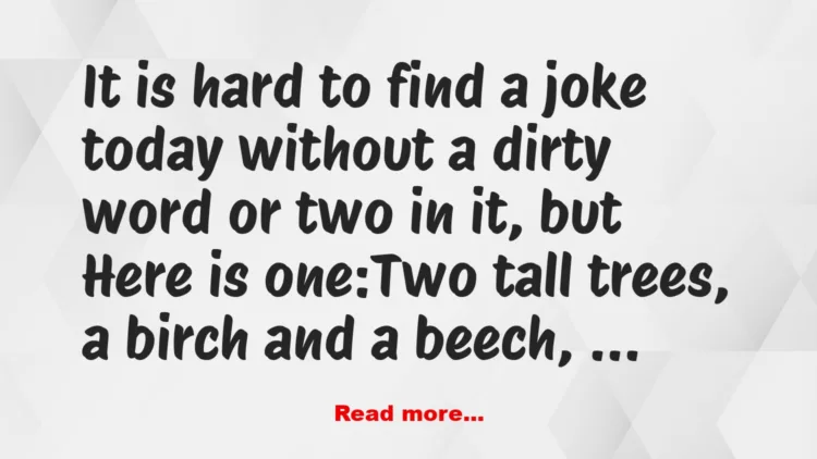 Joke: Three trees & a woodpecker –
