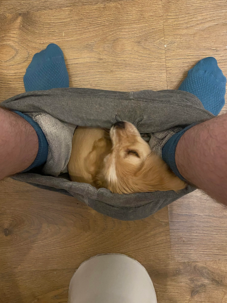 Clingy Pet Number 2