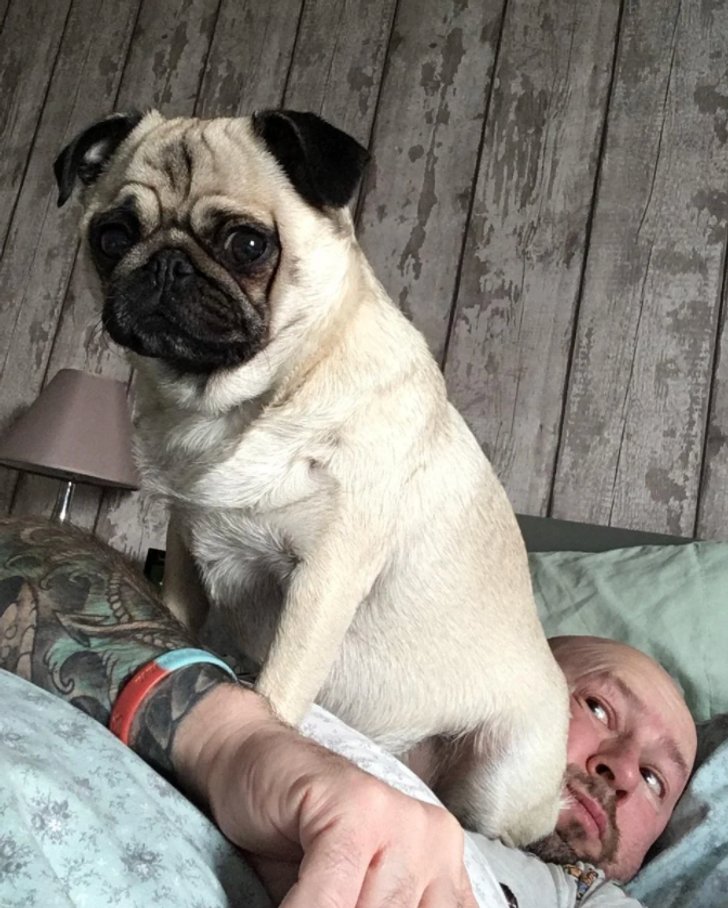 Clingy Pet Number 4