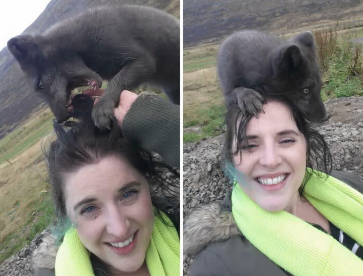 Clingy Pet Number 7