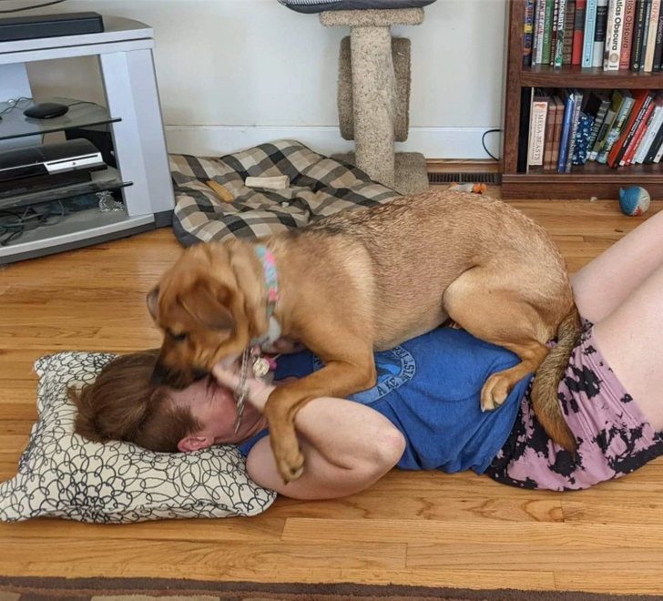 Clingy Pet Number 8