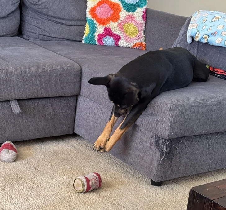 Ruby's story