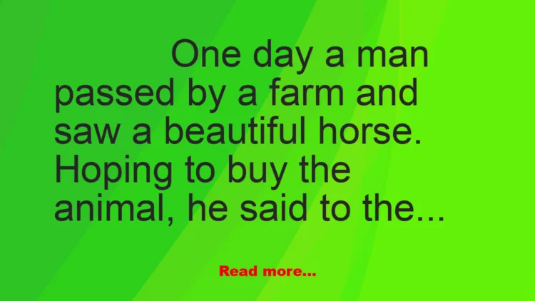 Joke: No Good Horse