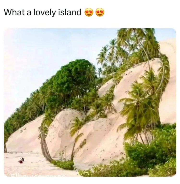 Looks inviting…
