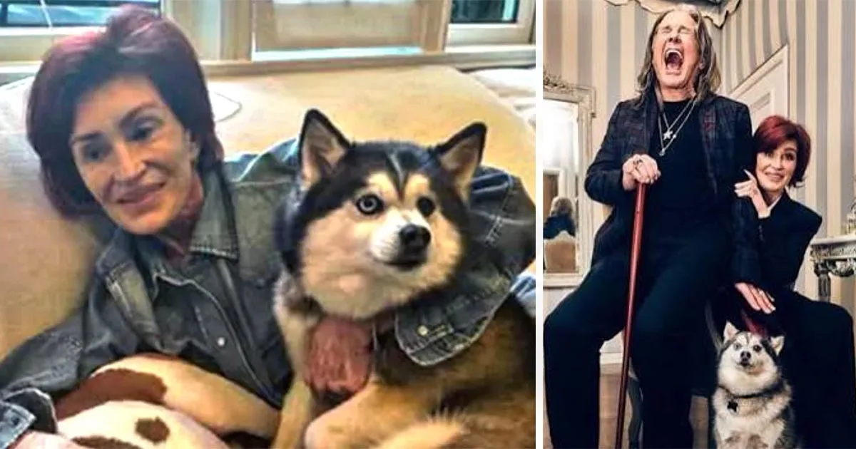 Celebrity Sharon Osbourne Devastated by Death of Beloved Canine, Elvis