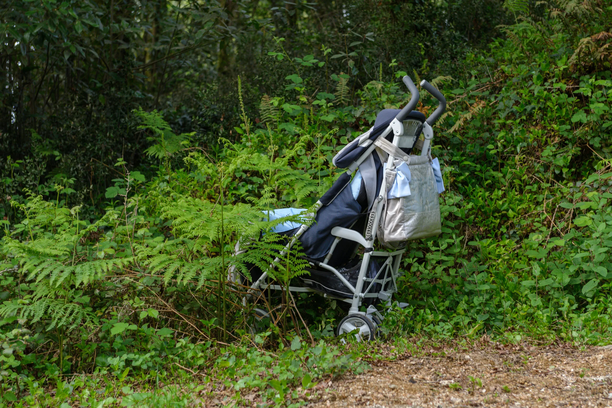 A Canine Hero’s Vigilance Leads Biker to Abandoned Newborn in Remote Terrain