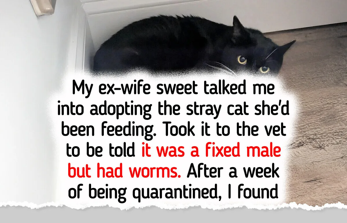 25 Unique Pets That Elevate Our Spirits by Being Themselves