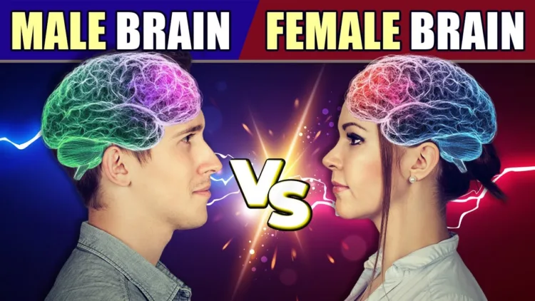 MALE Brain vs FEMALE Brain – What’s The Difference? – video