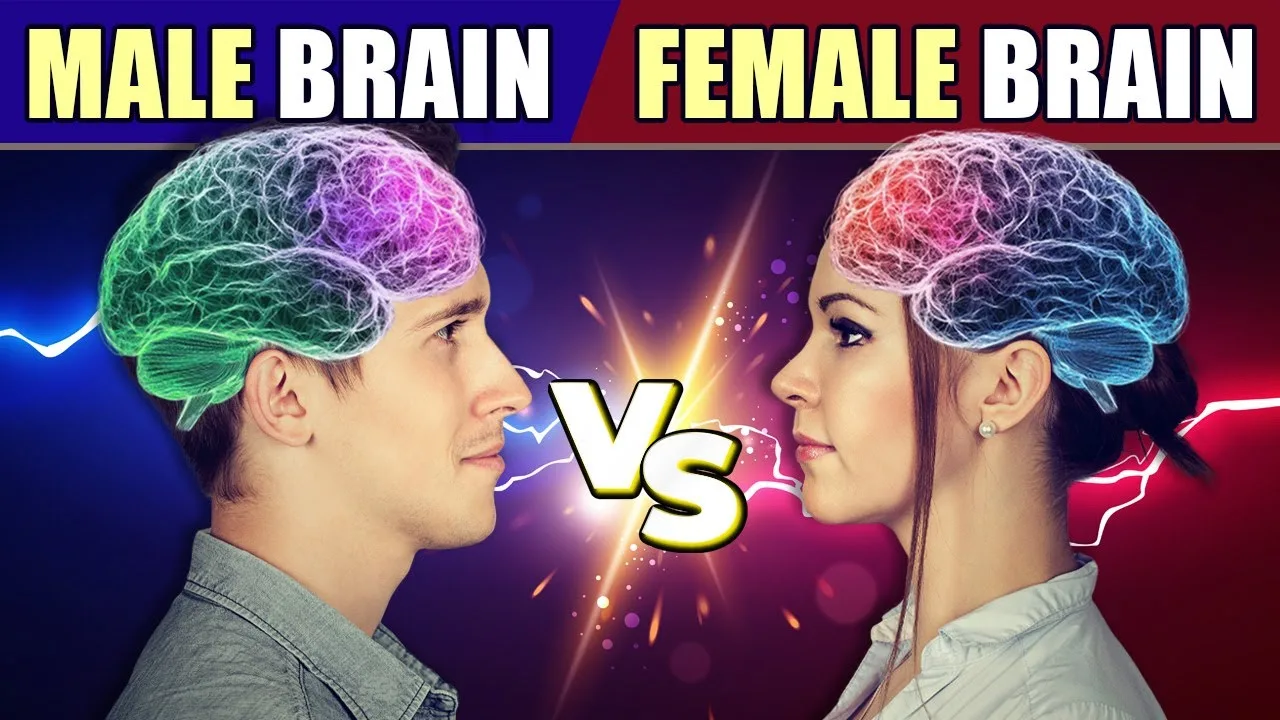 MALE Brain vs FEMALE Brain – What’s The Difference? – video