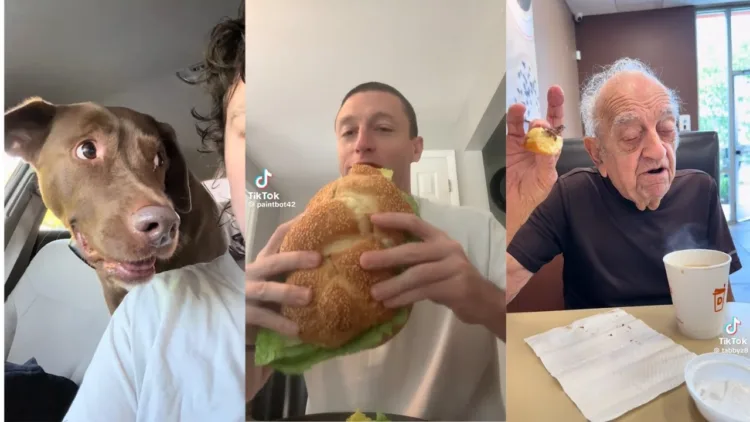 TikTok Memes But If You Laugh You Live Longer 🤣 TikTok Memes But If You Laugh You Live Longer  – video