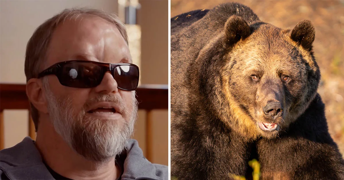 A Close Encounter: The Chilling Sound Man Heard Before Losing Consciousness in Grizzly Attack