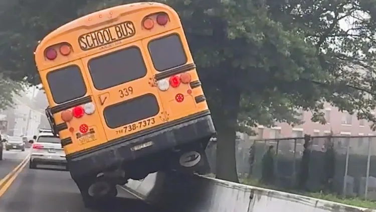 Best Fails of the Week | Epic Try Not to Laugh Challenge  😆 😆 – video