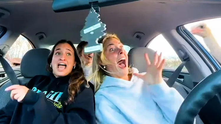 Best Fails of the Week | Fails You Can Feel – video