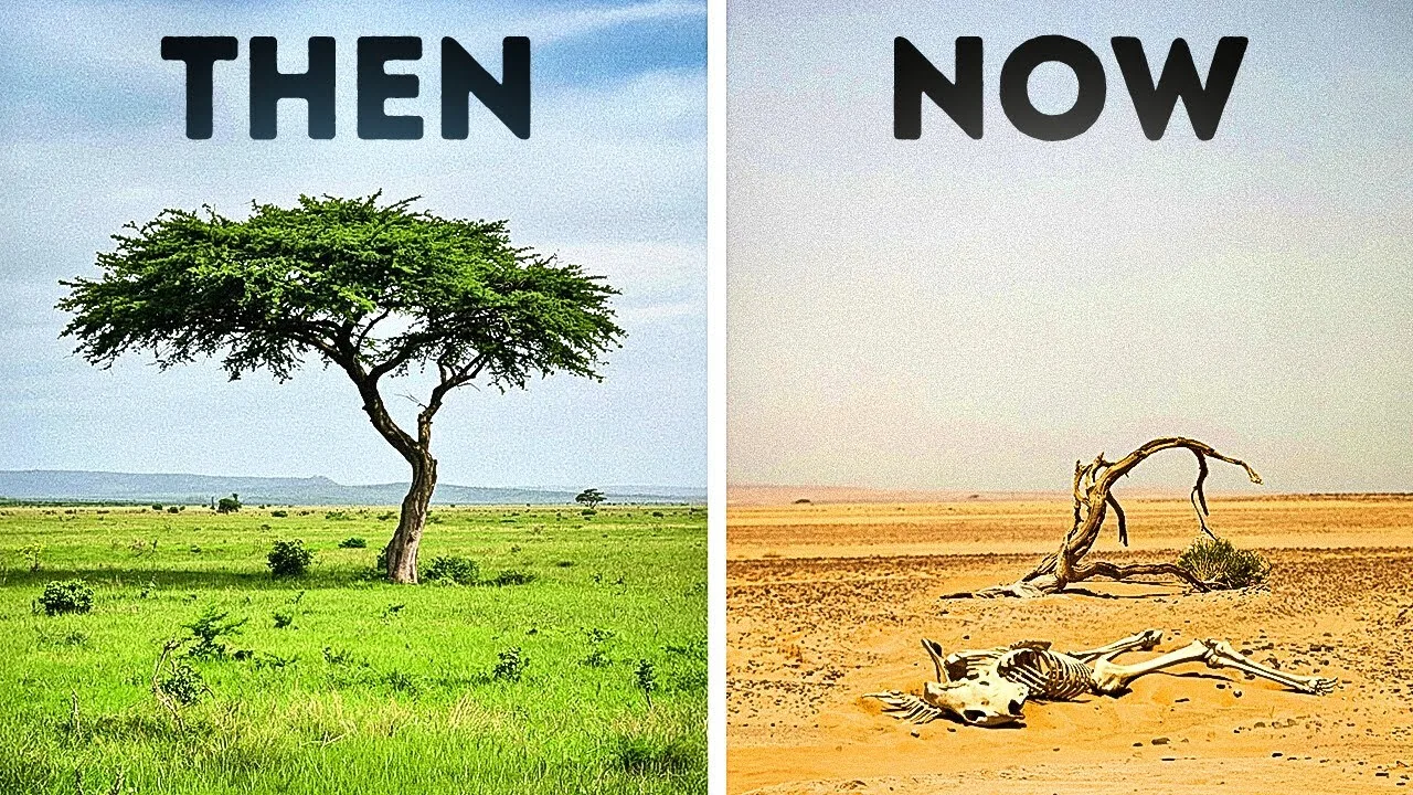 Natural Landmarks We Ruined With Our Own Hands – video