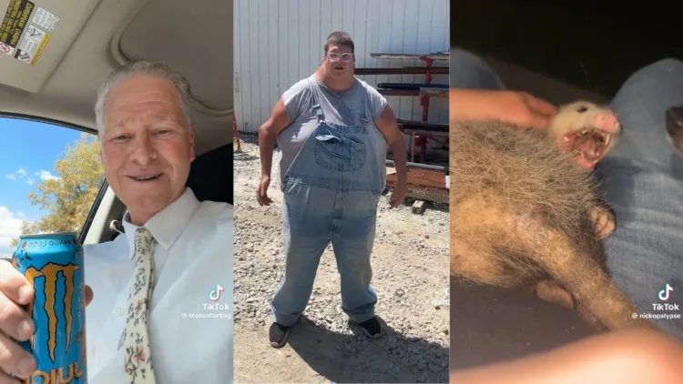 TikToks That Help Feed My Crippling Energy Drink Habit 👀 TikToks That Help Feed My Crippling Energy Drink Habit  – video