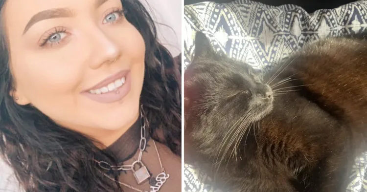 Woman pours water over neighbor's son after he did the A Woman’s Juicy Retaliation to Her Neighbor’s Cat-Drenching Kid