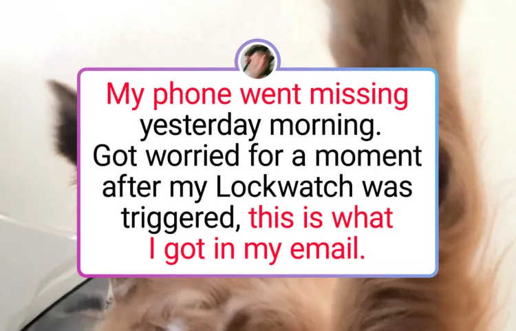 19 Hilarious Pictures That Prove Our Pets Are Comedic Geniuses in Fur Coats