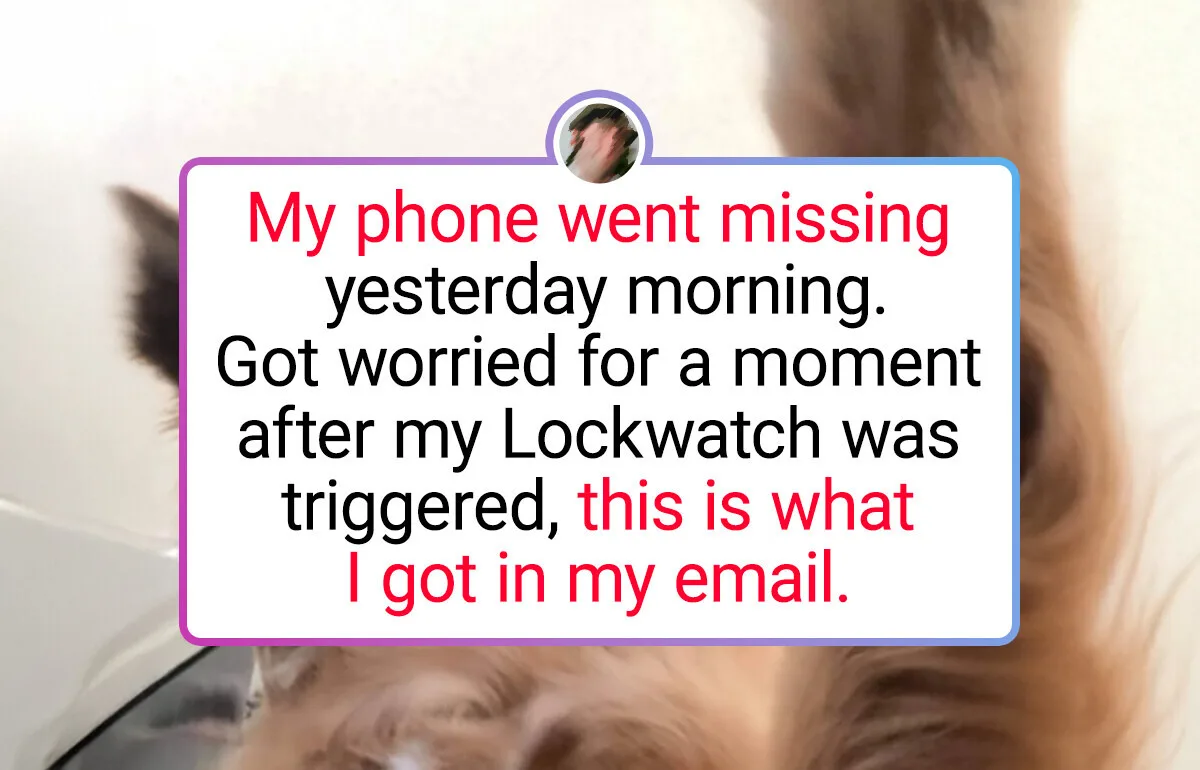 19 Hilarious Pictures That Prove Our Pets Are Comedic Geniuses in Fur Coats