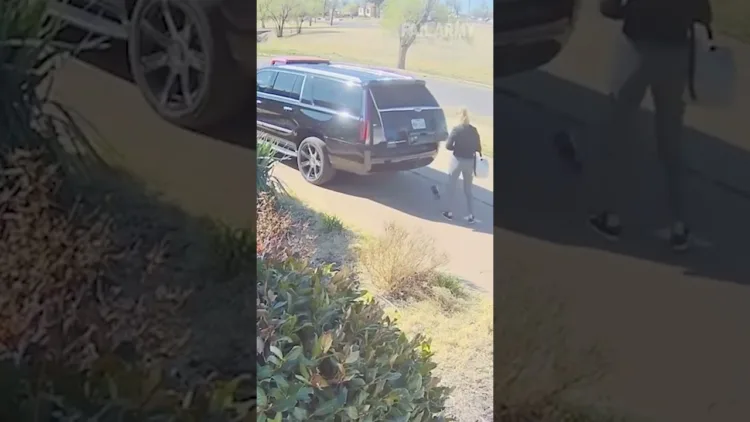 Caught on Camera! – video