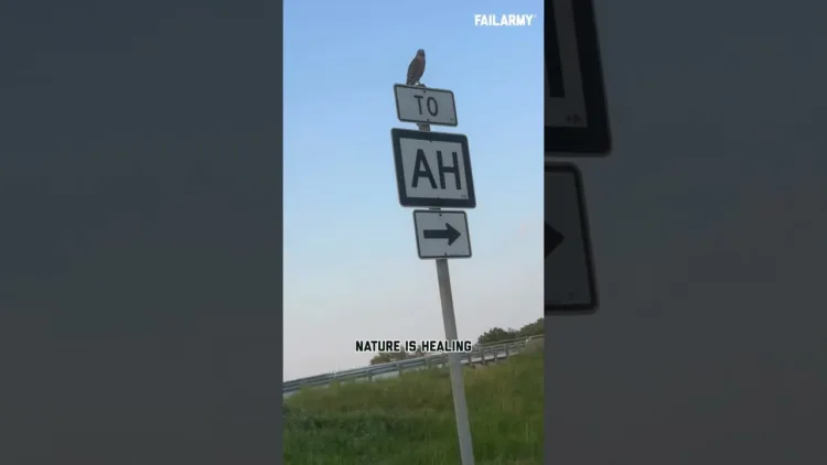 Hawk Tuah IRL – video