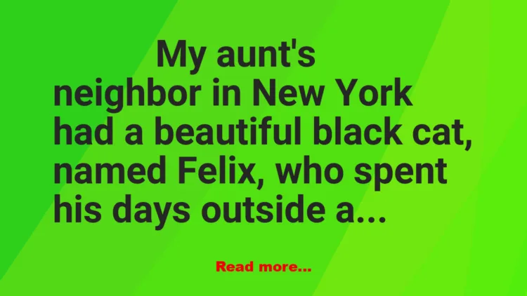 Joke: Felix the Cat Joke: Felix the Cat