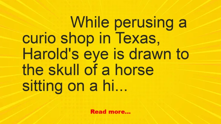 Joke: Let's Make a Deal