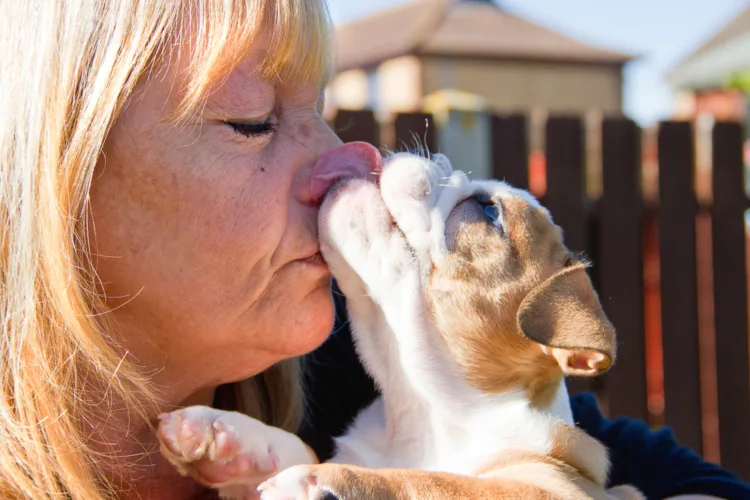 Why does my dog lick me? The surprising science behind Why does my dog lick me? The surprising science behind those doggy kisses
