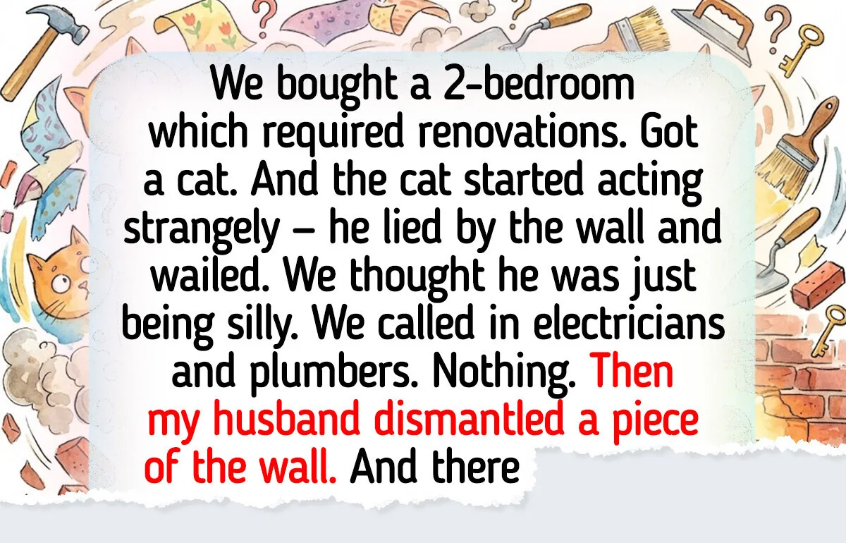 Pets that Have Mastered the Art of The World Better Than Us