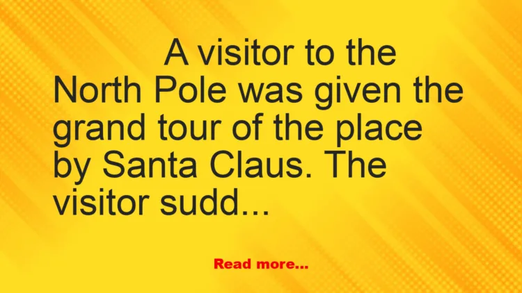 Joke: Visitor to the North Pole