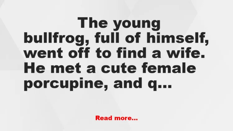 Joke: Why Marry A Porcupine