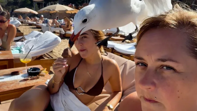 Viral Idiots Compilation | Best Fails of the Week – video