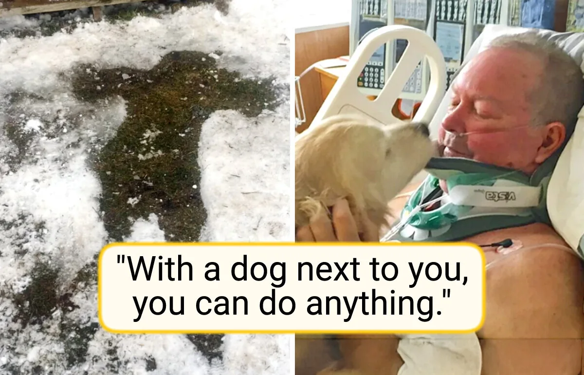 A Heartwarming Tale: How a Dog Saved a Man Left Paralyzed by a Harsh Winter Slip