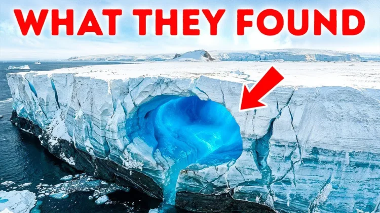 This Antarctic Find Changes What We Knew About Life on Earth – video