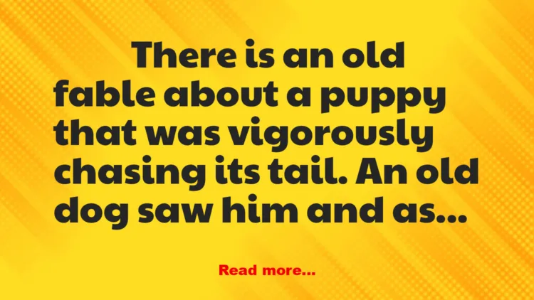 Joke: Chasing His Tail