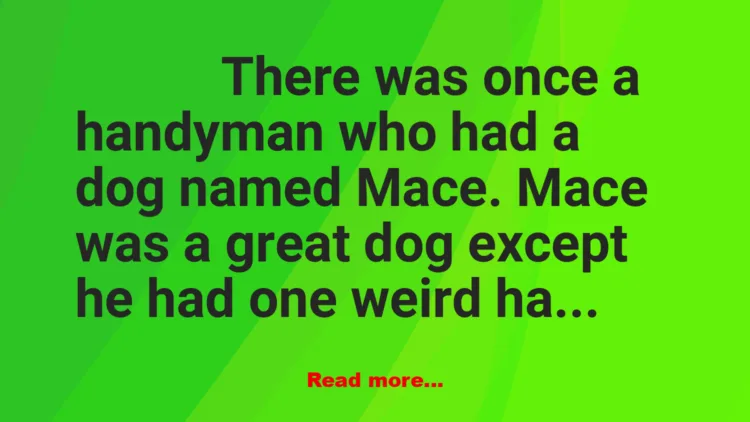 Joke: My Loving Dog Mace