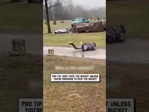 Bucket Prank – video