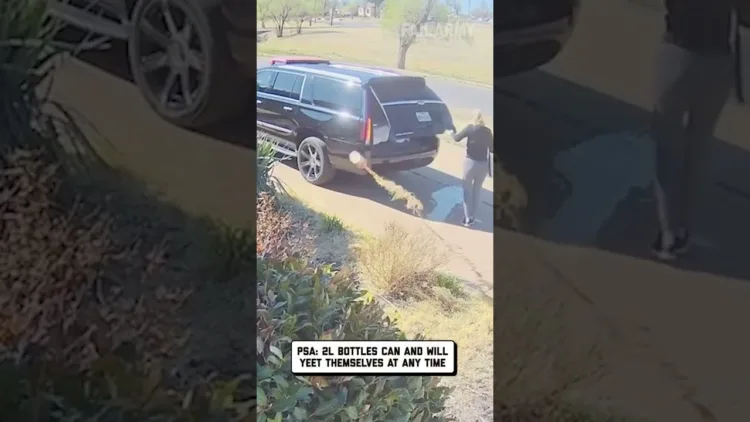 How did this happen? – video