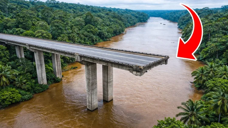 Surprising Reason Why The Amazon Is Bridge-Free – video