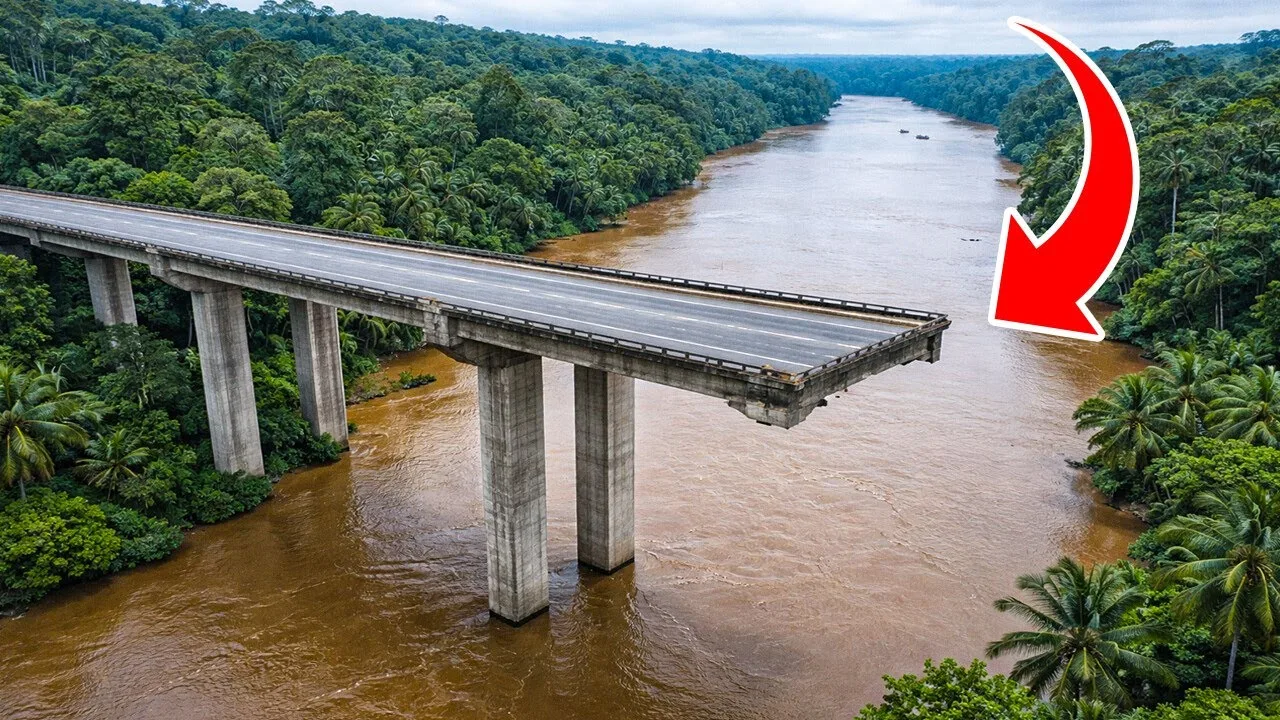Surprising Reason Why The Amazon Is Bridge-Free – video